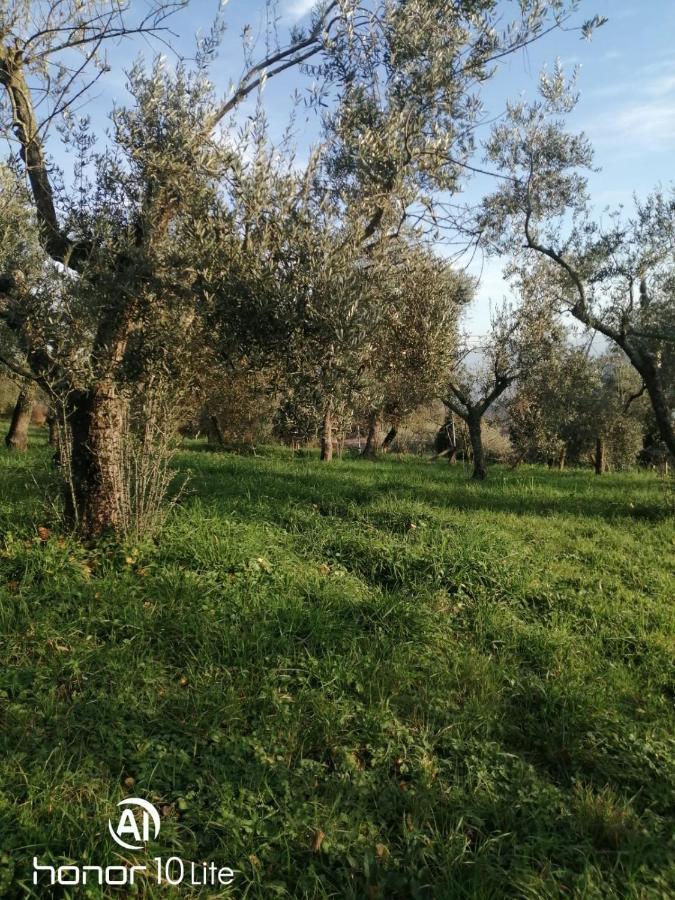 Appartamento Serenella Maenza Экстерьер фото